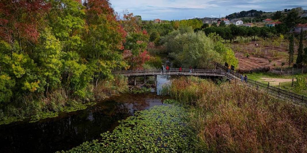 Doğa tutkunları için şimdi tam zamanı! Sarı ve kızıl yapraklar, nilüferler, kuşlar… Burası hikayelerden fırlamış gibi 4